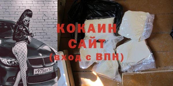 мдпв Аша