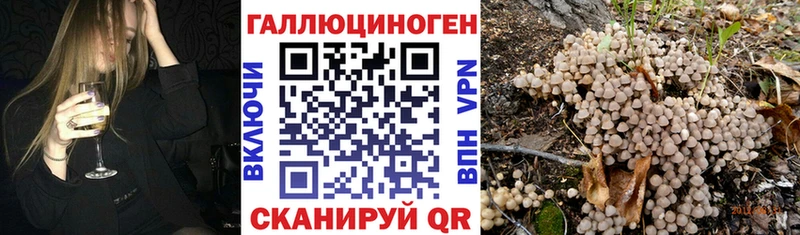 Галлюциногенные грибы ЛСД  Новосиль 